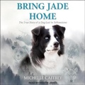 Cover: Bring Jade Home - Tantor Audio
