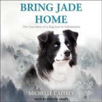 Enlarge image Cover: Bring Jade Home - Tantor Audio
