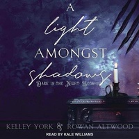 Enlarge image Cover: A Light Amongst Shadows - Tantor Audio