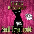 Cover: Small Town Trouble - Tantor Audio