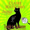 Cover: Trouble in Tallahassee - Tantor Audio