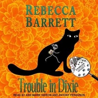 Enlarge image Cover: Trouble in Dixie - Tantor Audio