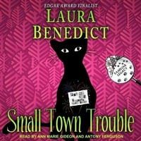 Enlarge image Cover: Small Town Trouble - Tantor Audio