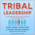 Cover: Tribal Leadership - Tantor Audio