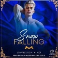 Cover: Snow Falling - Tantor Audio