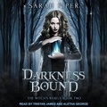 Cover: Darkness Bound - Tantor Audio