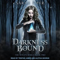 Enlarge image Cover: Darkness Bound - Tantor Audio
