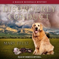 Enlarge image Cover: Disorderly Conduct - Tantor Audio