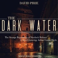 Enlarge image Cover: The Dark Water - Tantor Audio