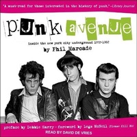 Enlarge image Cover: Punk Avenue Lib/E - Tantor Audio