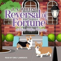 Enlarge image Cover: Reversal of Fortune - Tantor Audio