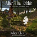 Cover: After the Rabbit - Tantor Audio