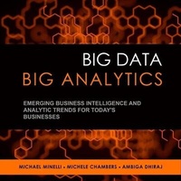 Enlarge image Cover: Big Data, Big Analytics - Gildan Media Corporation