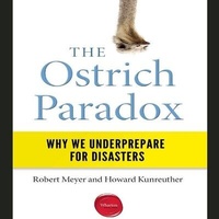 Enlarge image Cover: The Ostrich Paradox Lib/E - Gildan Media Corporation