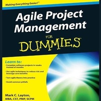 Abbildung von: Agile Project Management for Dummies - Gildan Media Corporation