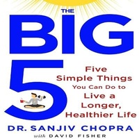 Enlarge image Cover: The Big Five Lib/E - Gildan Media Corporation