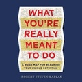 Cover: What You're Really Meant to Do - Gildan Media Corporation