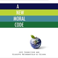 Enlarge image Cover: New Moral Code - Gildan Media Corporation