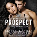 Cover: Prospect - Tantor Audio
