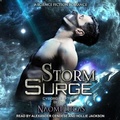 Cover: Storm Surge - Tantor Audio