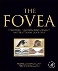 Cover: The Fovea - Academic Press