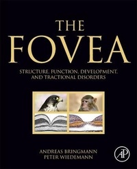 Enlarge image Cover: The Fovea - Academic Press