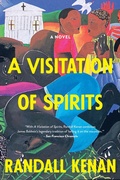 Cover: A Visitation of Spirits - Black Cat