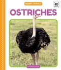 Cover: Ostriches - Cody Koala