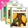 Cover: How Foods Grow (Set) - Cody Koala