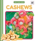 Cover: Cashews - Cody Koala