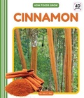Cover: Cinnamon - Cody Koala