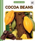 Cover: Cocoa Beans - Cody Koala