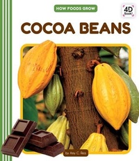 Enlarge image Cover: Cocoa Beans - Cody Koala