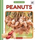 Cover: Peanuts - Cody Koala