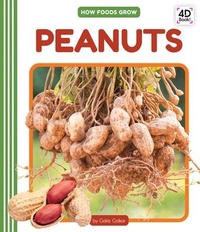 Enlarge image Cover: Peanuts - Cody Koala