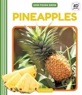 Cover: Pineapples - Cody Koala