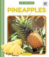 Enlarge image Cover: Pineapples - Cody Koala