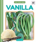 Cover: Vanilla - Cody Koala