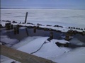 Cover: Ice Age The Next Cycle of The Earth - Lulu.com