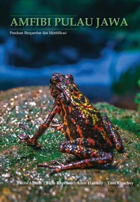 Abbildung von: Amfibi Pulau Jawa - NABU - Naturschutzbund Deutschland