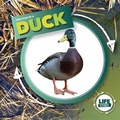 Cover: Life Cycle of a Duck - Kidhaven Publishing
