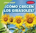 Cover: ?Como Crecen Los Girasoles? (How Do Sunflowers Grow?) - Gareth Stevens Publishing