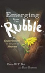 Cover: Emerging from the Rubble - Grosvenor House Publishing Ltd