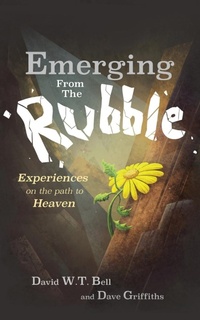 Enlarge image Cover: Emerging from the Rubble - Grosvenor House Publishing Ltd