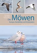 Cover: Die M&ouml;wen Europas, Nordafrikas und Vorderasiens - Haupt Verlag