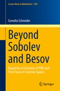 Cover: Beyond Sobolev and Besov - Springer