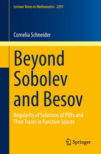 Abbildung von: Beyond Sobolev and Besov - Springer