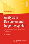 Cover: Analysis in Beispielen und Gegenbeispielen - Springer Spektrum