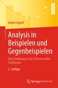Cover: Analysis in Beispielen und Gegenbeispielen - Springer Spektrum