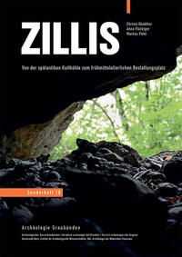 Enlarge image Cover: Zillis - Edition Somedia